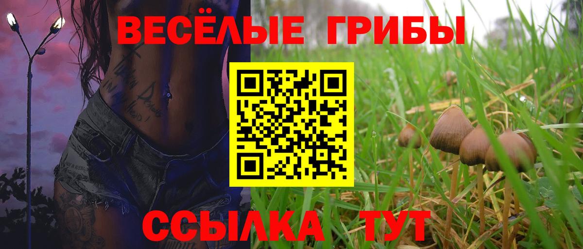 Купить закладку  A PVP СК кристаллы  Бошки Шишки  NBOMe  Вход с VPN  Мирный  КОКАИН  ГАШИШ  Меф   ЭКСТАЗИ 